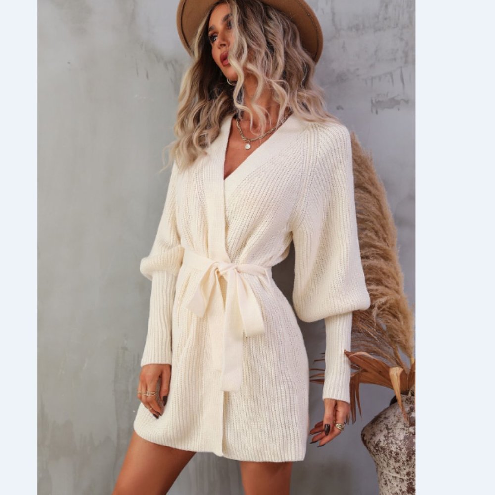 Rib-Knit Lantern Sleeve Belted Sweater Dress - Picture 3 of 16